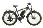 K800 Fat E-Bike